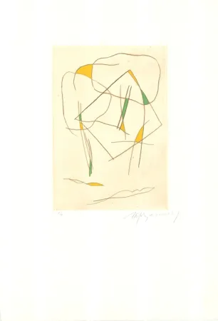 Acquaforte E Acquatinta Ràfols Casamada - El bosc-6