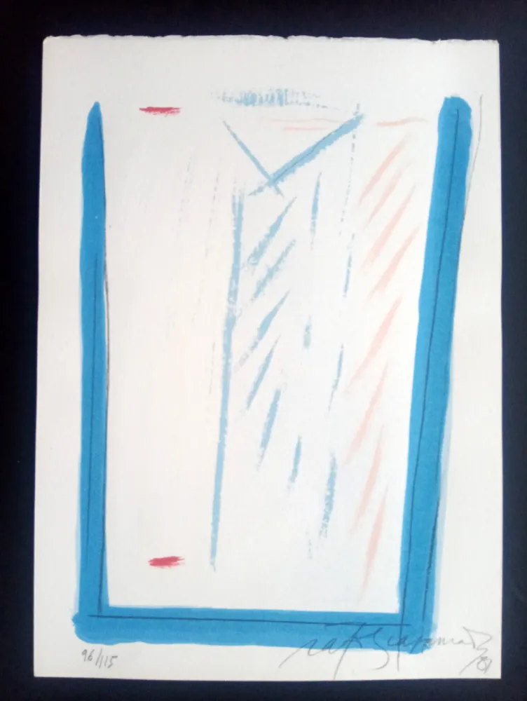 Serigrafia Ràfols Casamada - Episodi VI