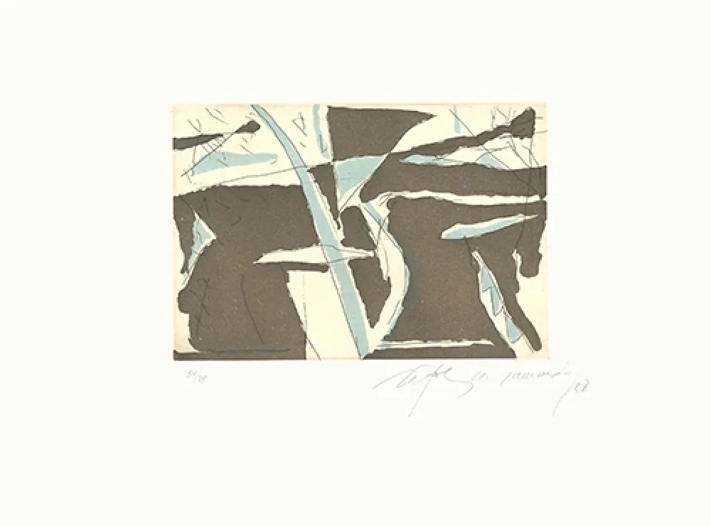 Acquaforte E Acquatinta Ràfols Casamada - Estiu-4