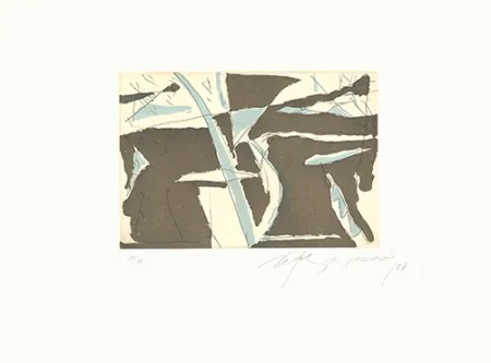 Acquaforte E Acquatinta Ràfols Casamada - Estiu-4