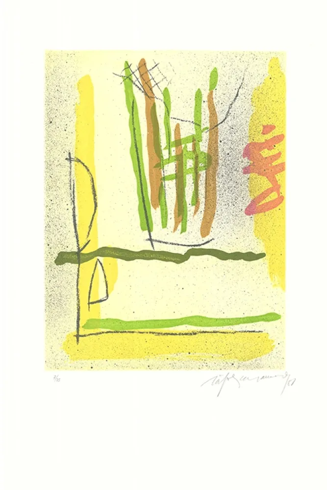 Acquaforte E Acquatinta Ràfols Casamada - Floral-1