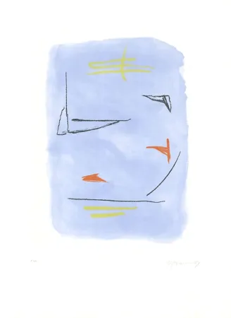 Acquaforte E Acquatinta Ràfols Casamada - Gran-3