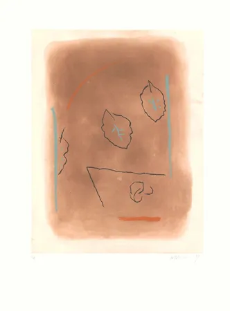 Acquaforte E Acquatinta Ràfols Casamada - Gran-4