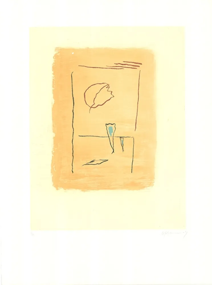 Acquaforte E Acquatinta Ràfols Casamada - Gran-5