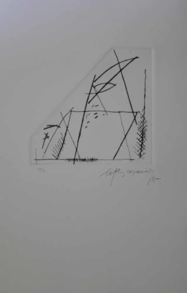 Incisione Ràfols Casamada - Jardí 4