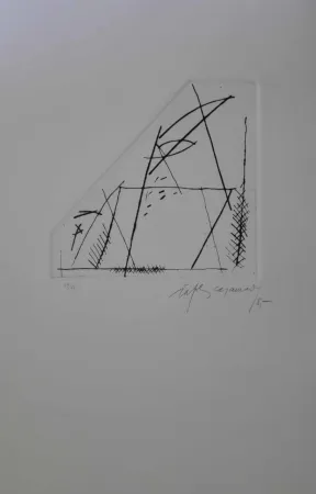 Incisione Ràfols Casamada - Jardí 4