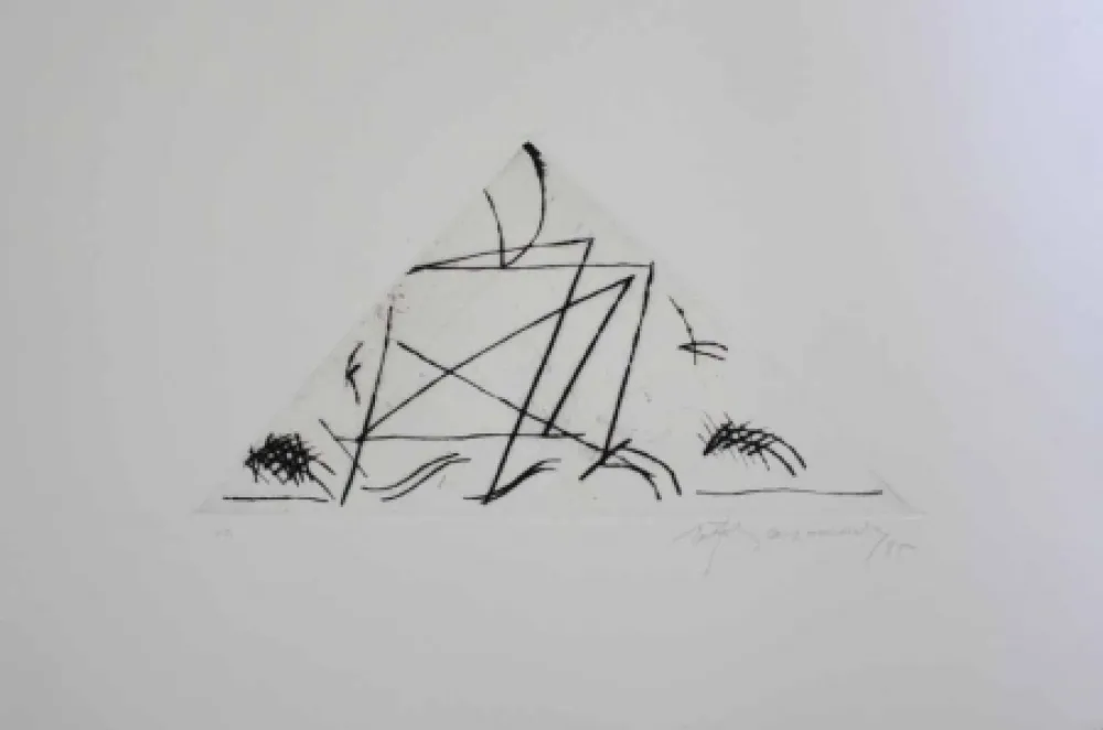 Incisione Ràfols Casamada - Jardí 5