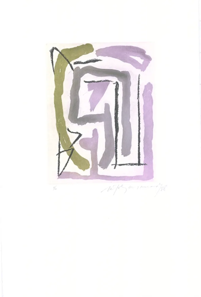 Acquaforte E Acquatinta Ràfols Casamada - Laberint-4