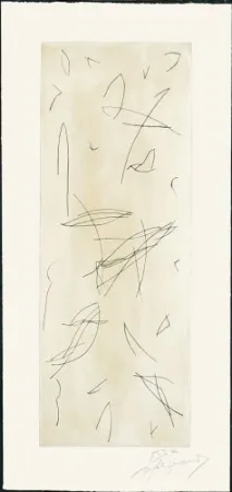 Incisione Ràfols Casamada - Ocells-1