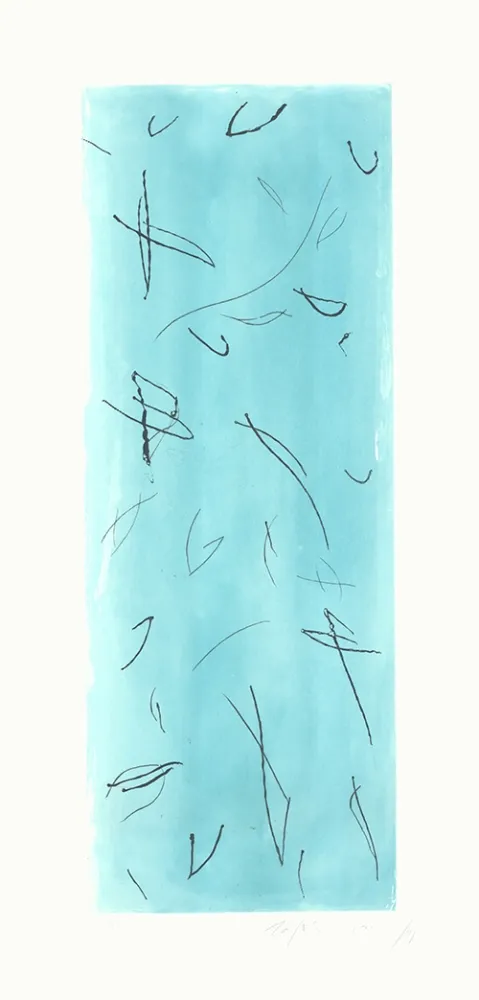 Incisione Ràfols Casamada - Ocells-2