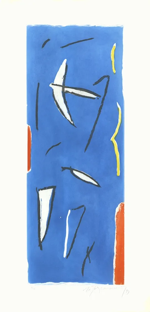 Acquaforte E Acquatinta Ràfols Casamada - Ocells-3