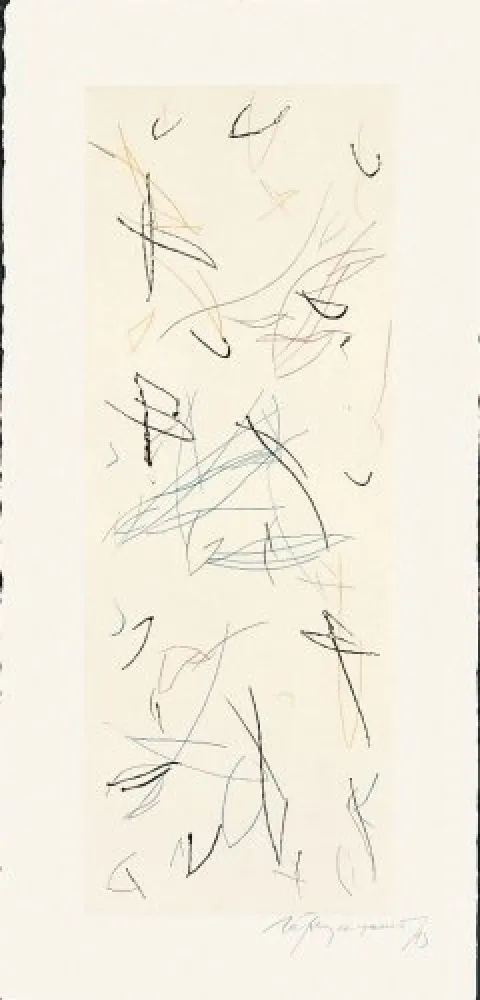 Incisione Ràfols Casamada - Ocells-Variant 1-2