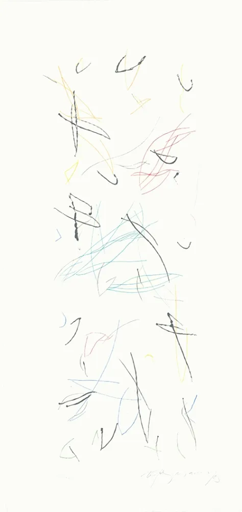 Incisione Ràfols Casamada - Ocells variant 1-2