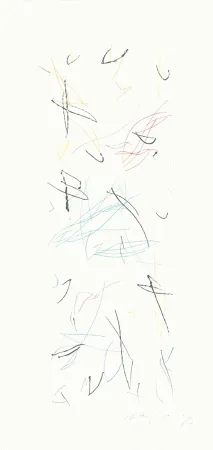 Incisione Ràfols Casamada - Ocells variant 1-2