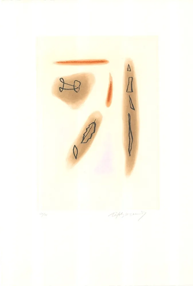 Acquaforte E Acquatinta Ràfols Casamada - Primavera-3