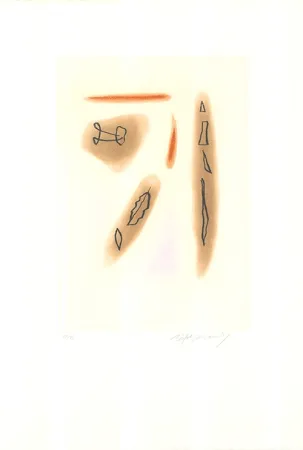 Acquaforte E Acquatinta Ràfols Casamada - Primavera-3