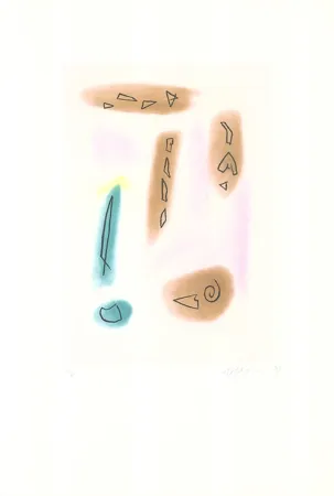 Acquaforte E Acquatinta Ràfols Casamada - Primavera-4