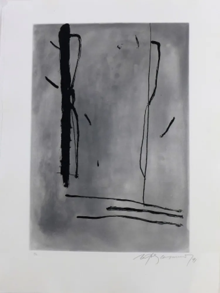 Incisione Ràfols Casamada - Signe i color-1	 