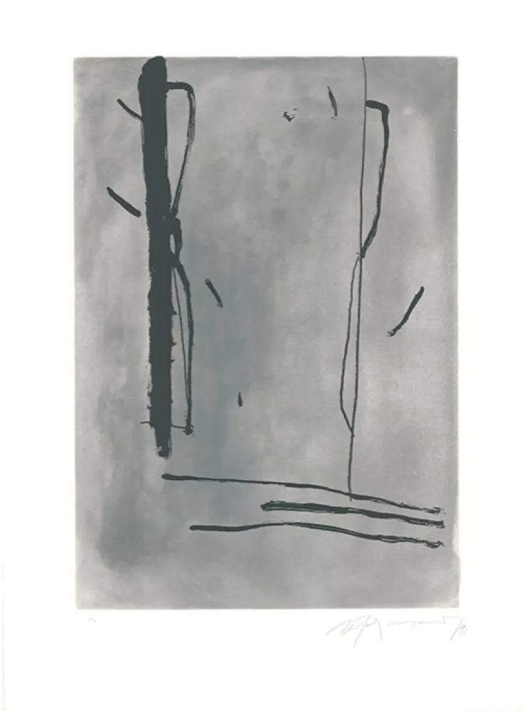 Acquaforte E Acquatinta Ràfols Casamada - Signe i Color-1