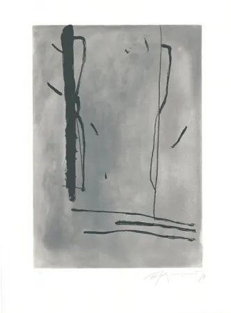 Acquaforte E Acquatinta Ràfols Casamada - Signe i Color-1