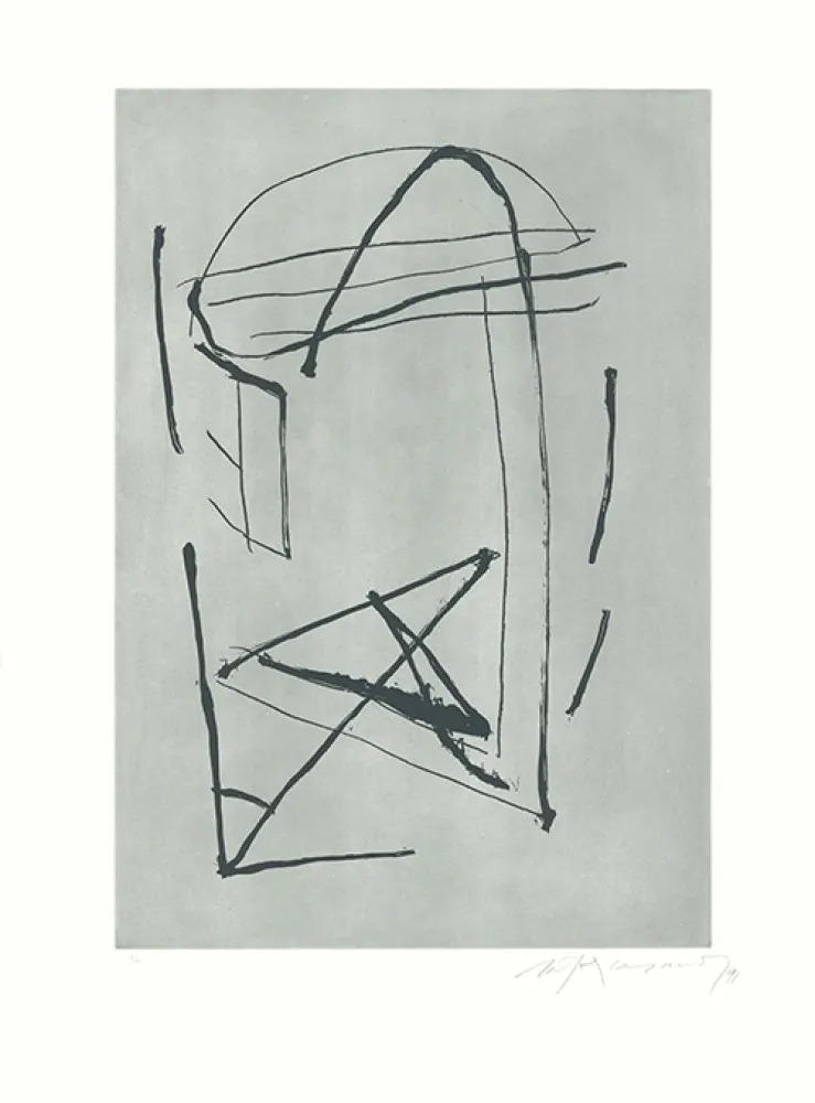 Acquaforte E Acquatinta Ràfols Casamada - Signe i color-2