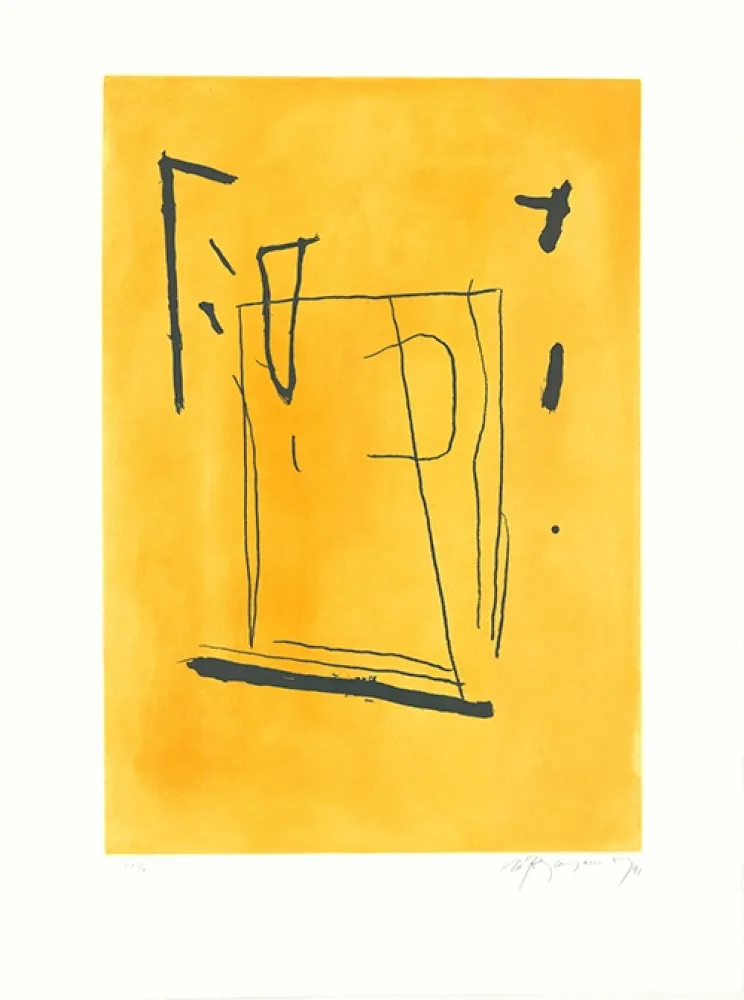 Acquaforte E Acquatinta Ràfols Casamada - Signe i color 3