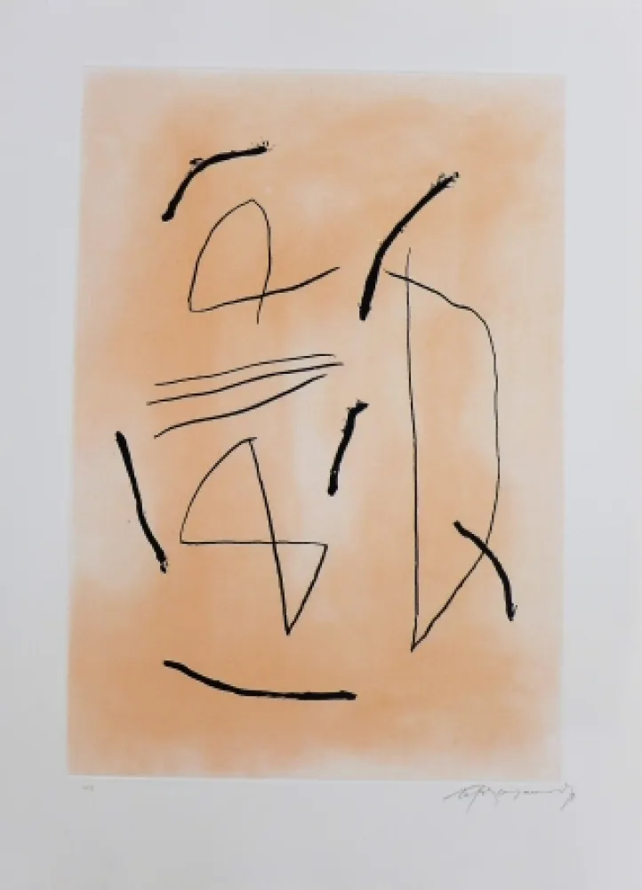 Incisione Ràfols Casamada - Signe i color-4 