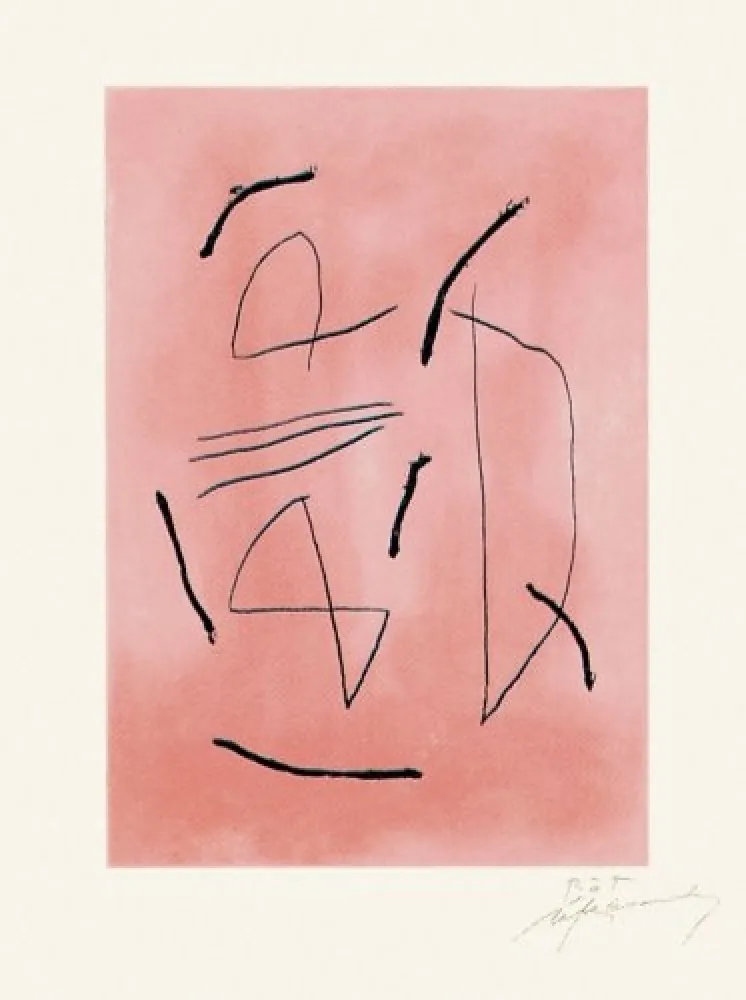 Incisione Ràfols Casamada - Signe i color-4