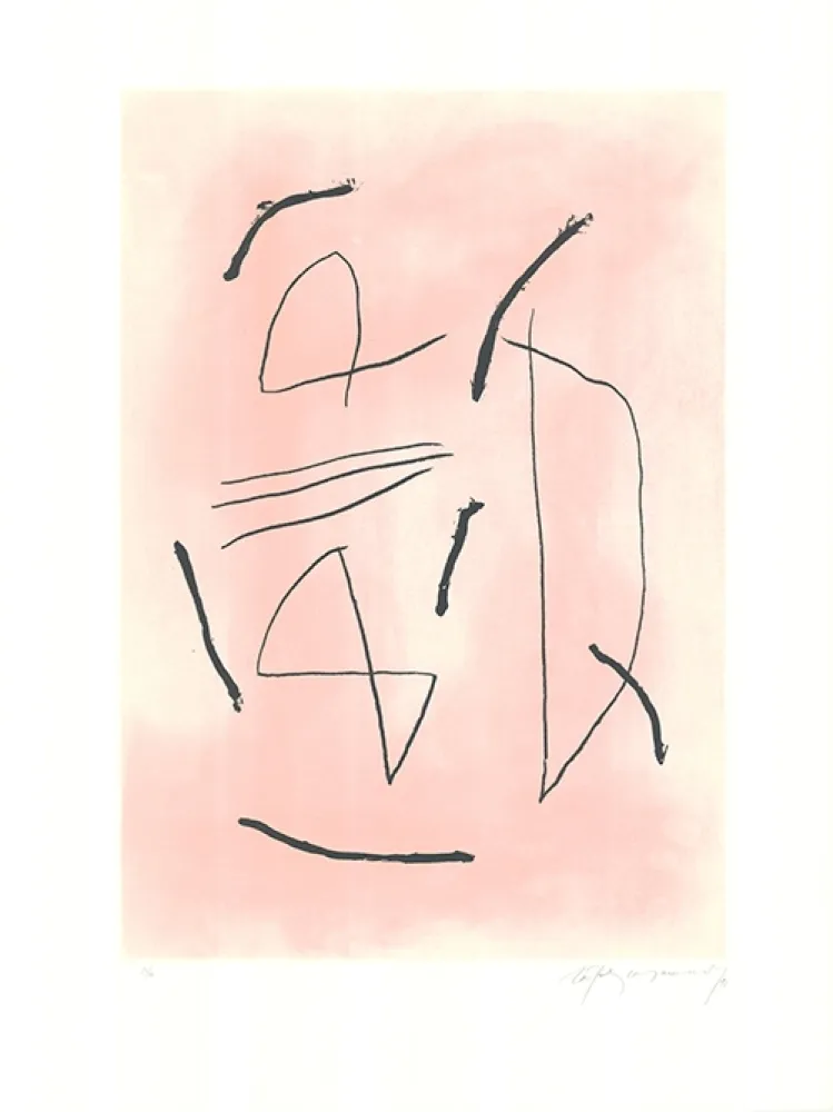 Acquaforte E Acquatinta Ràfols Casamada - Signe i color 4