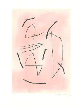 Acquaforte E Acquatinta Ràfols Casamada - Signe i color 4