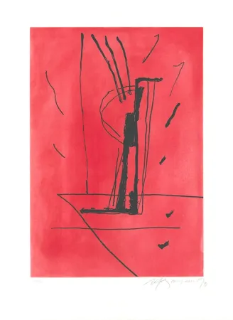 Acquaforte E Acquatinta Ràfols Casamada - Signe i color 6