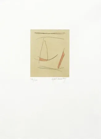 Incisione Ràfols Casamada - Signe i colors