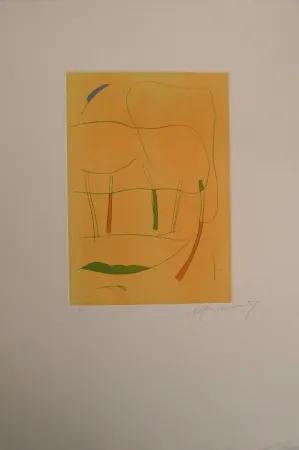 Incisione Ràfols Casamada - Sin Título