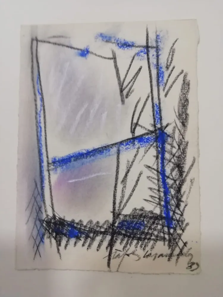 Non Tecnico Ràfols Casamada - S/T