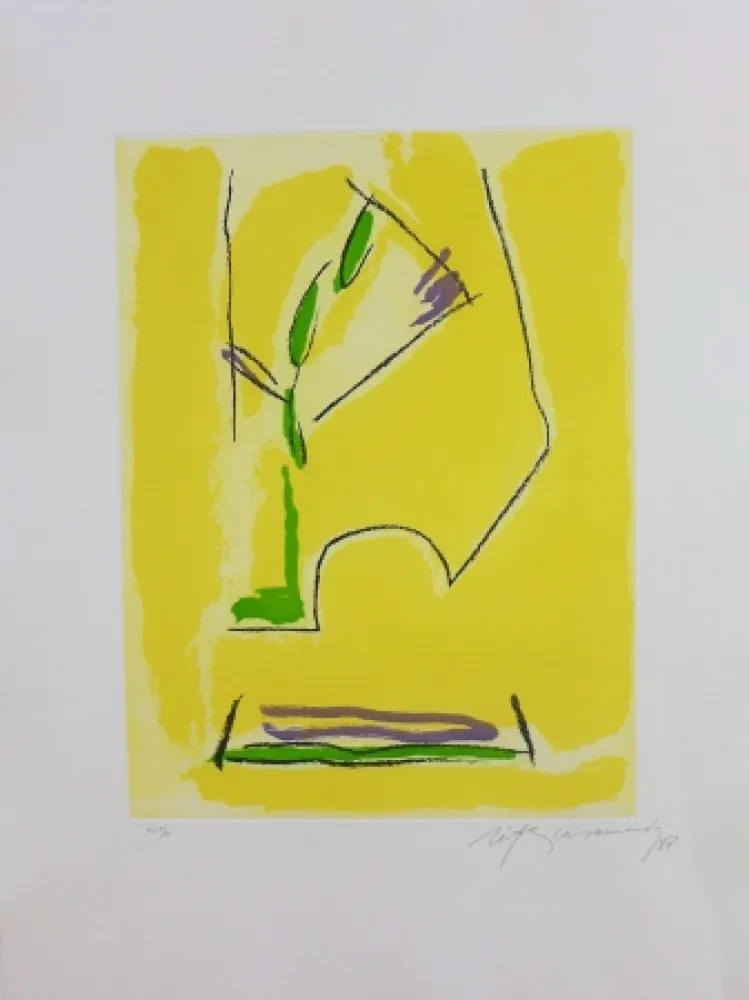 Incisione Ràfols Casamada - Terrasses-1	