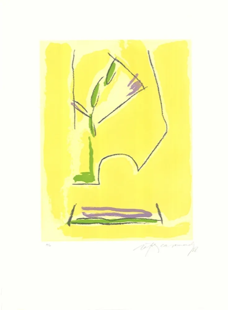 Acquaforte E Acquatinta Ràfols Casamada - Terrasses-1