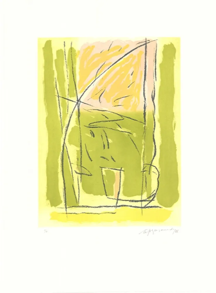 Acquaforte E Acquatinta Ràfols Casamada - Terrasses-3