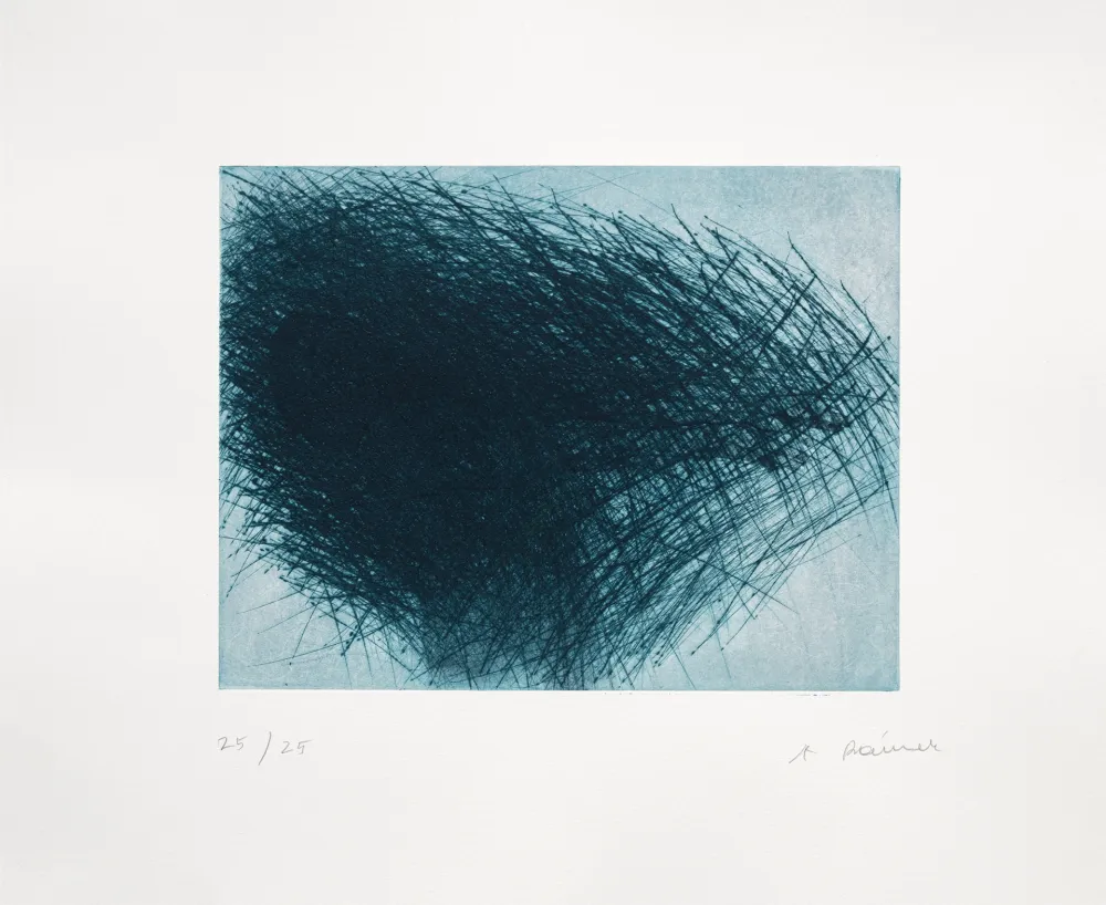 Incisione Rainer - Schwarm