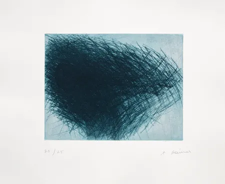 Incisione Rainer - Schwarm