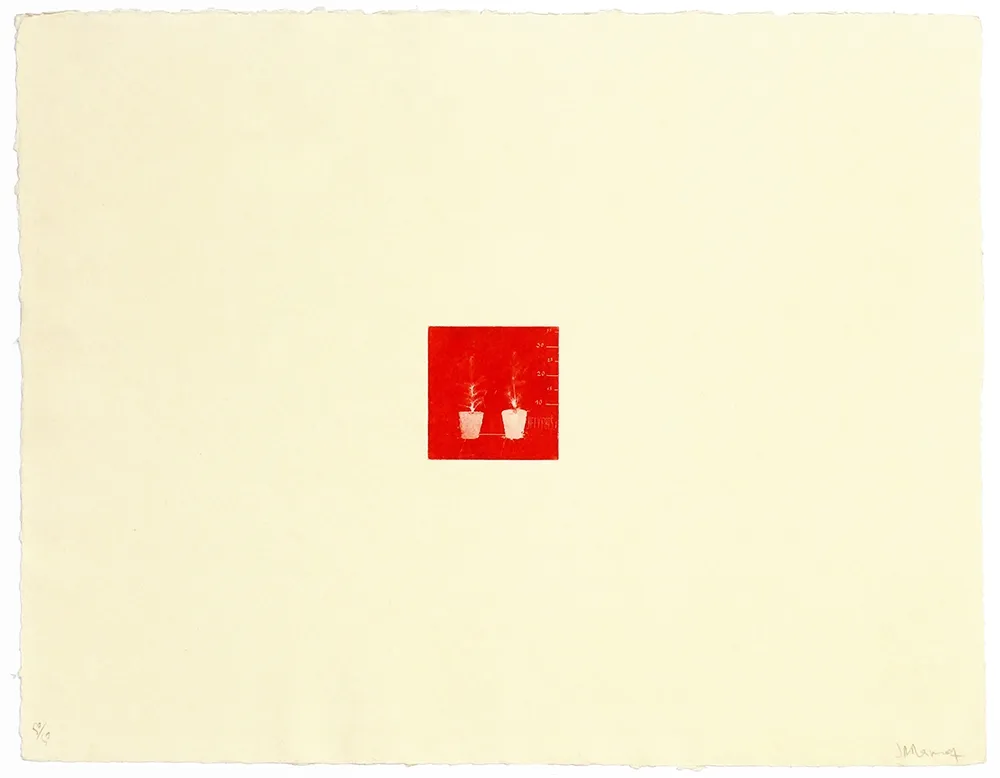 Incisione Ramírez Suass - S'enraciner