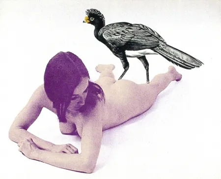 Litografia Ramos - Currasow