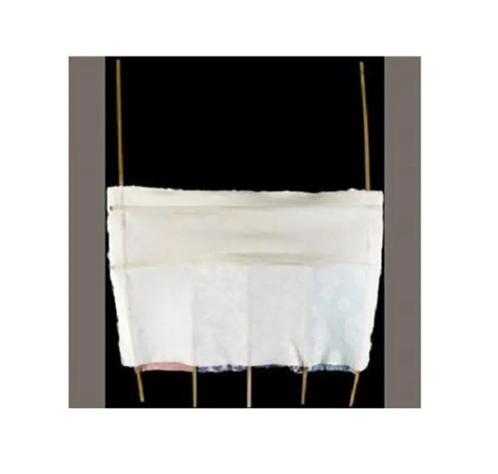 Serigrafia Rauschenberg - BOX CARS (BONES AND UNIONS)