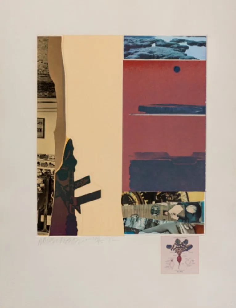 Multiplo Rauschenberg - XI (from Horsefeathers Thirteen)