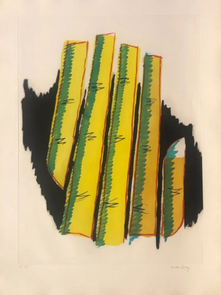 Acquatinta Ray - Cactus