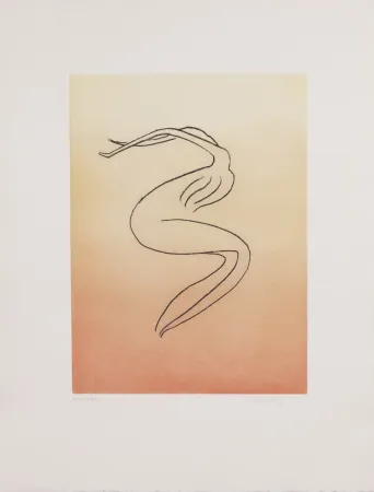 Acquatinta Ray - Man Ray (1890–1976) - Anatoms without Rime or Reason for Every Season - Aquatint and soft ground on paper - 1970