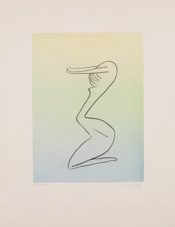 Acquatinta Ray - Man Ray (1890–1976) - Anatoms without Rime or Reason for Every Season - Aquatint and soft ground on paper - 1970
