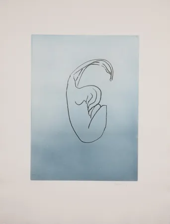 Acquatinta Ray - Man Ray (1890–1976) - Anatoms without Rime or Reason for Every Season - Aquatint and soft ground on paper - 1970