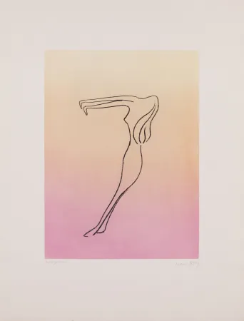 Acquatinta Ray - Man Ray (1890–1976) - Anatoms without Rime or Reason for Every Season - Aquatint and soft ground on paper - 1970