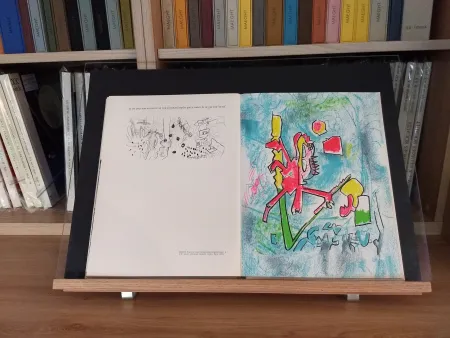 Libro Illustrato Ray - No 45