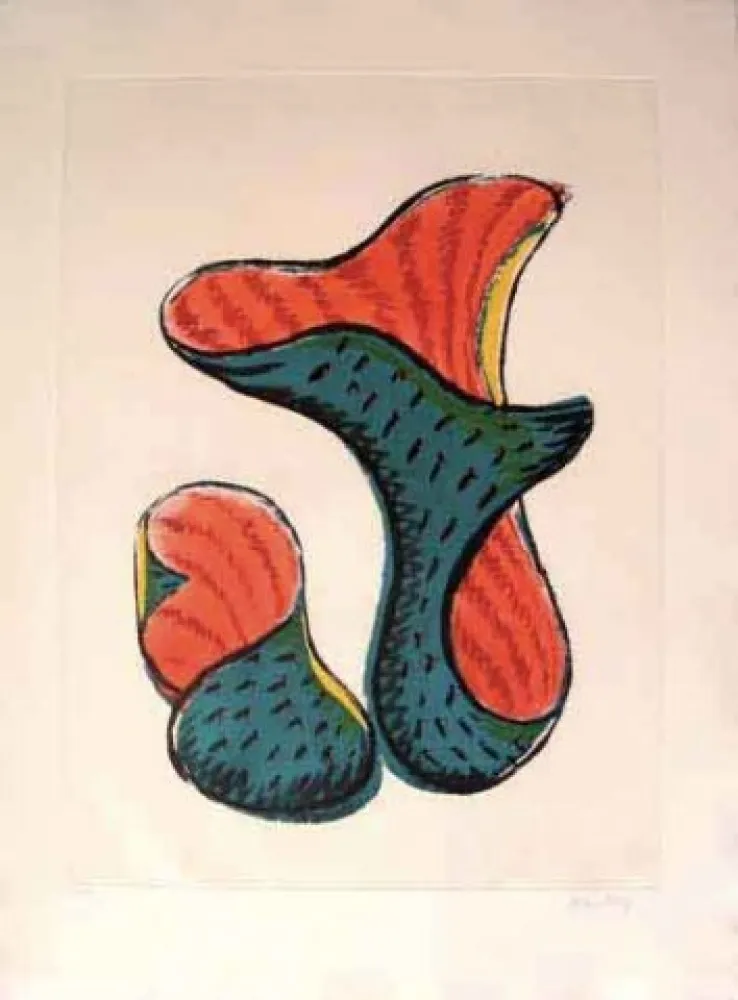 Incisione Ray - Transfiguration D' Un Cactus 3